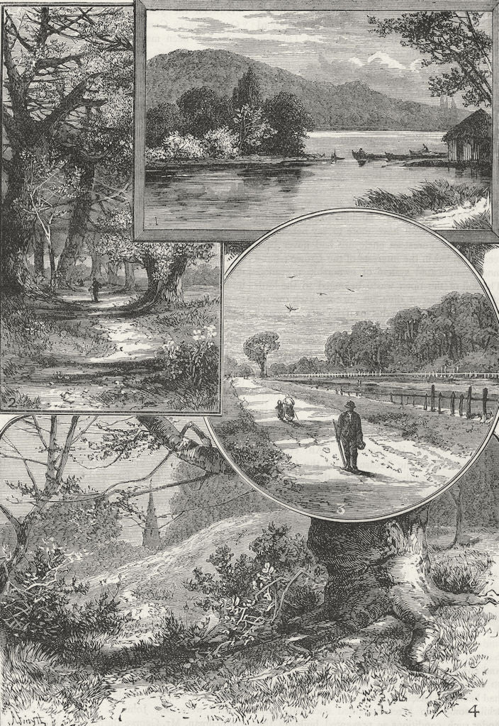 EPPING FOREST. Connaught Water, Chingford; Theydon Bois; High Beech 1888 print